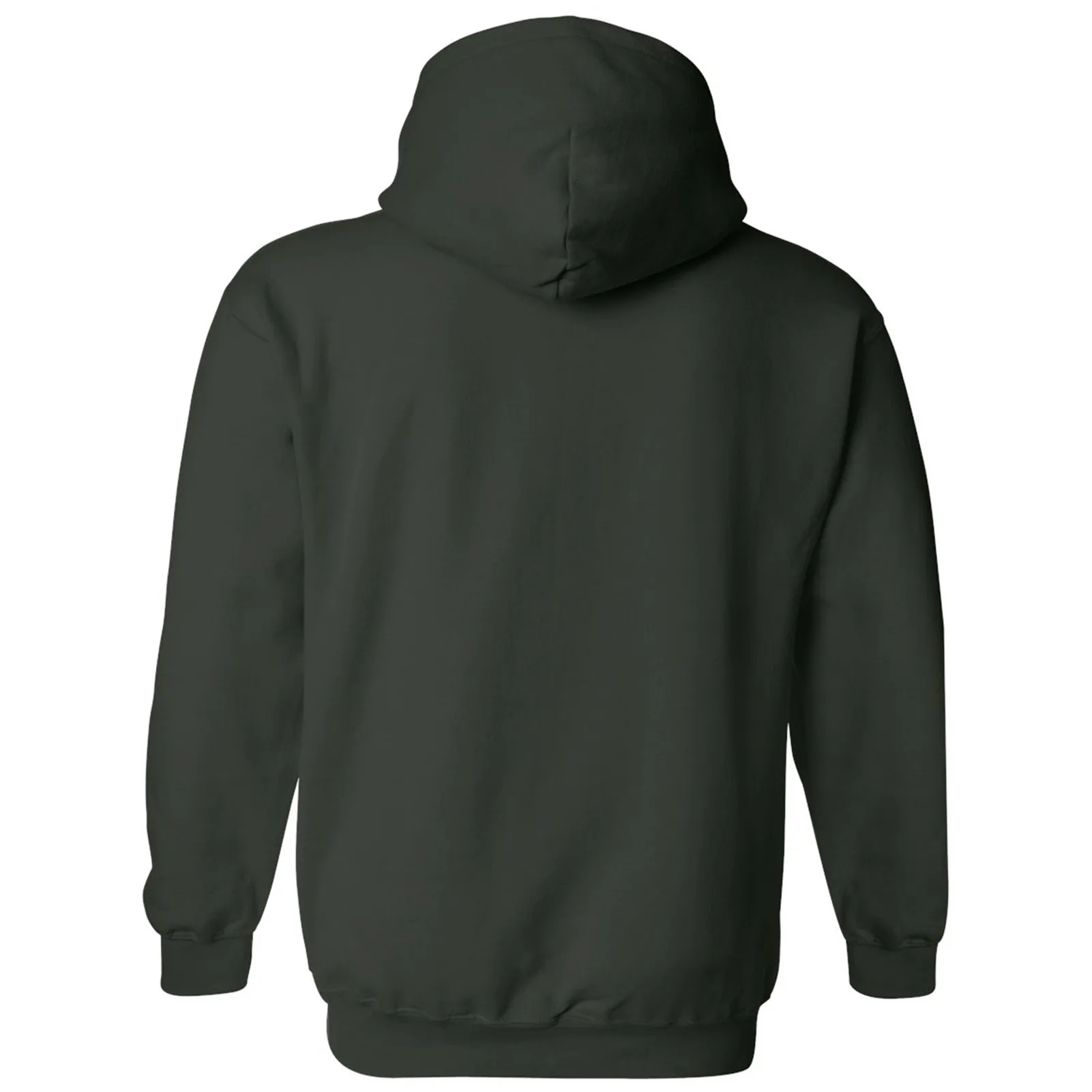 Colorado State University Rams Basic Block Hoodie - Forest